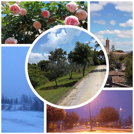 Splendido Ampio Appartamento A Montepulciano Ngoại thất bức ảnh