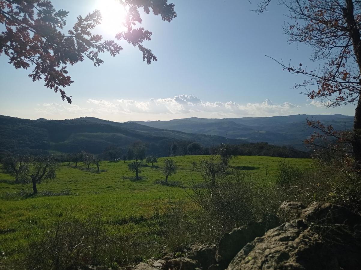 Splendido Ampio Appartamento A Montepulciano Ngoại thất bức ảnh