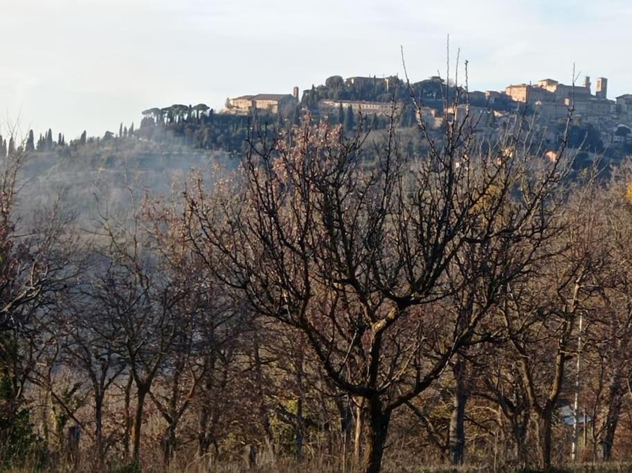Splendido Ampio Appartamento A Montepulciano Ngoại thất bức ảnh