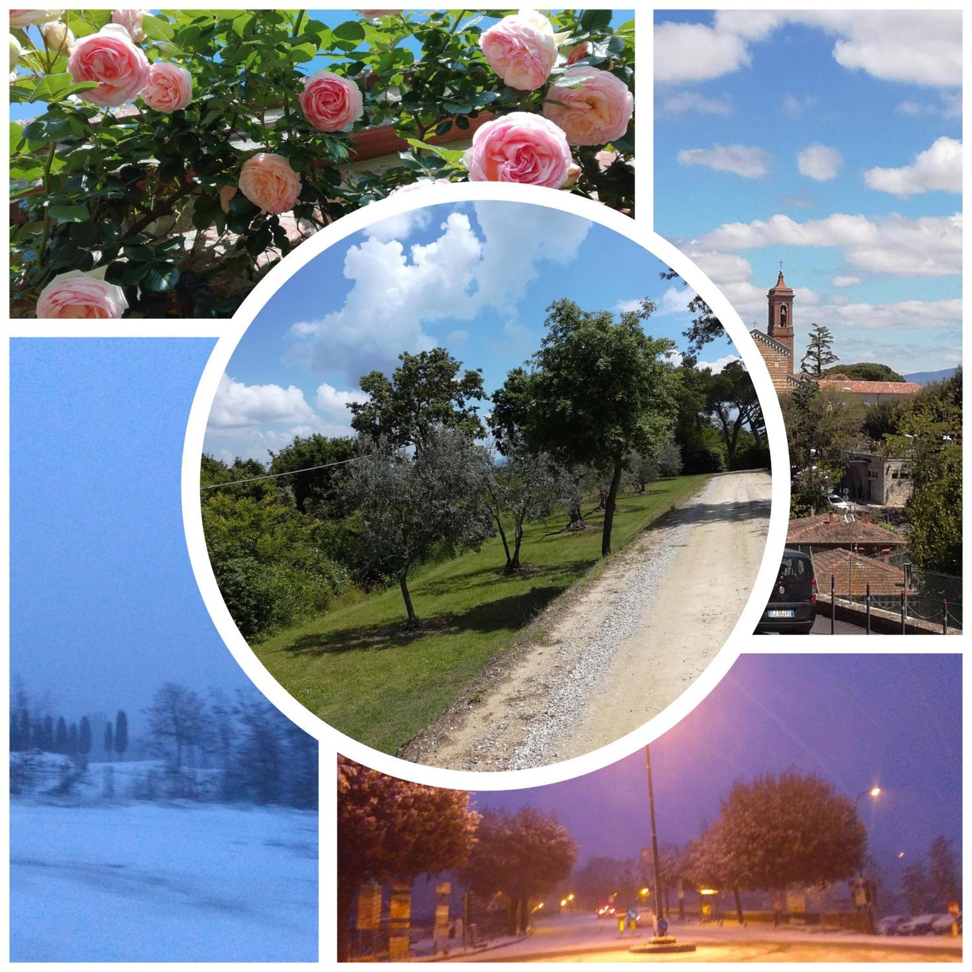 Splendido Ampio Appartamento A Montepulciano Ngoại thất bức ảnh